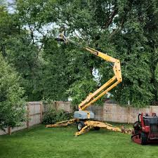 Landscape Design and Installation in Newport, TN