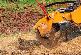 Newport, TN Tree Care Company