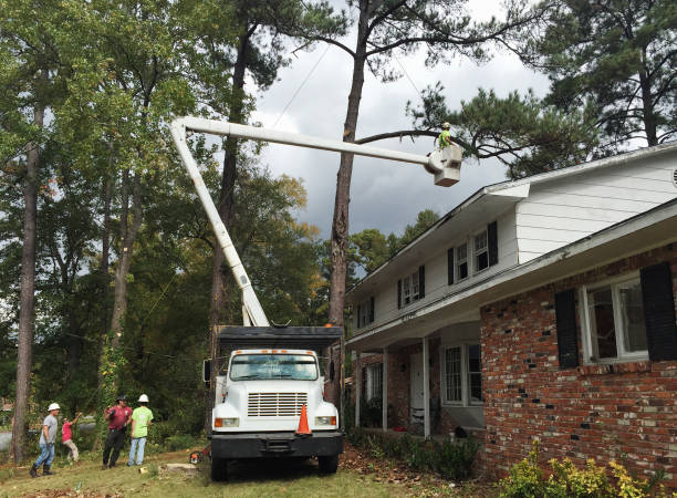 Soil Testing and Treatment in Newport, TN